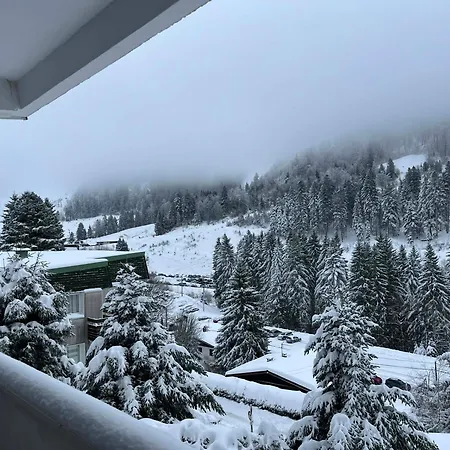 L'ourson B2 La Bresse