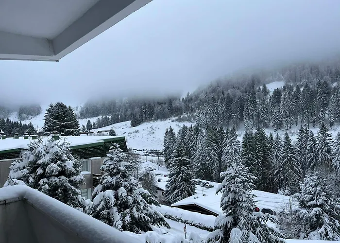 L'ourson B2 La Bresse